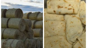 Нажарила блинов 🥞, а с чем? Очень вкусные! 😋