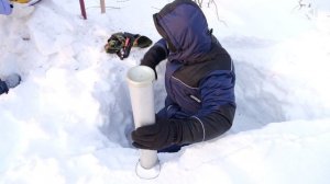 АРКТИЧЕСКИЙ ТРЕНД, 17.11.2025