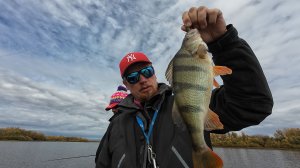 Рыбалка на Волге. Ловим судаков, окуней, щук.