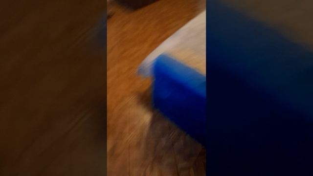 Необычный праздник 