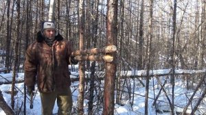 Кулёмка или ловушка, со скобой на соболя, на куньих