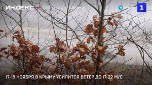 17-18 ноября в Крыму усилится ветер до 17-22 м/с