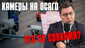 Камеры на ОСАГО одобрили в 1 чтении: что там со сроками?
