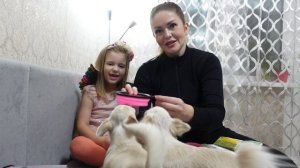 ПОКУПКИ ДЛЯ ЧИХУАХУА! Пледы, ошейники, игрушки, миски, вкусняшки.