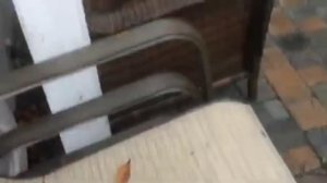 Plants vs. Zombies The Rain