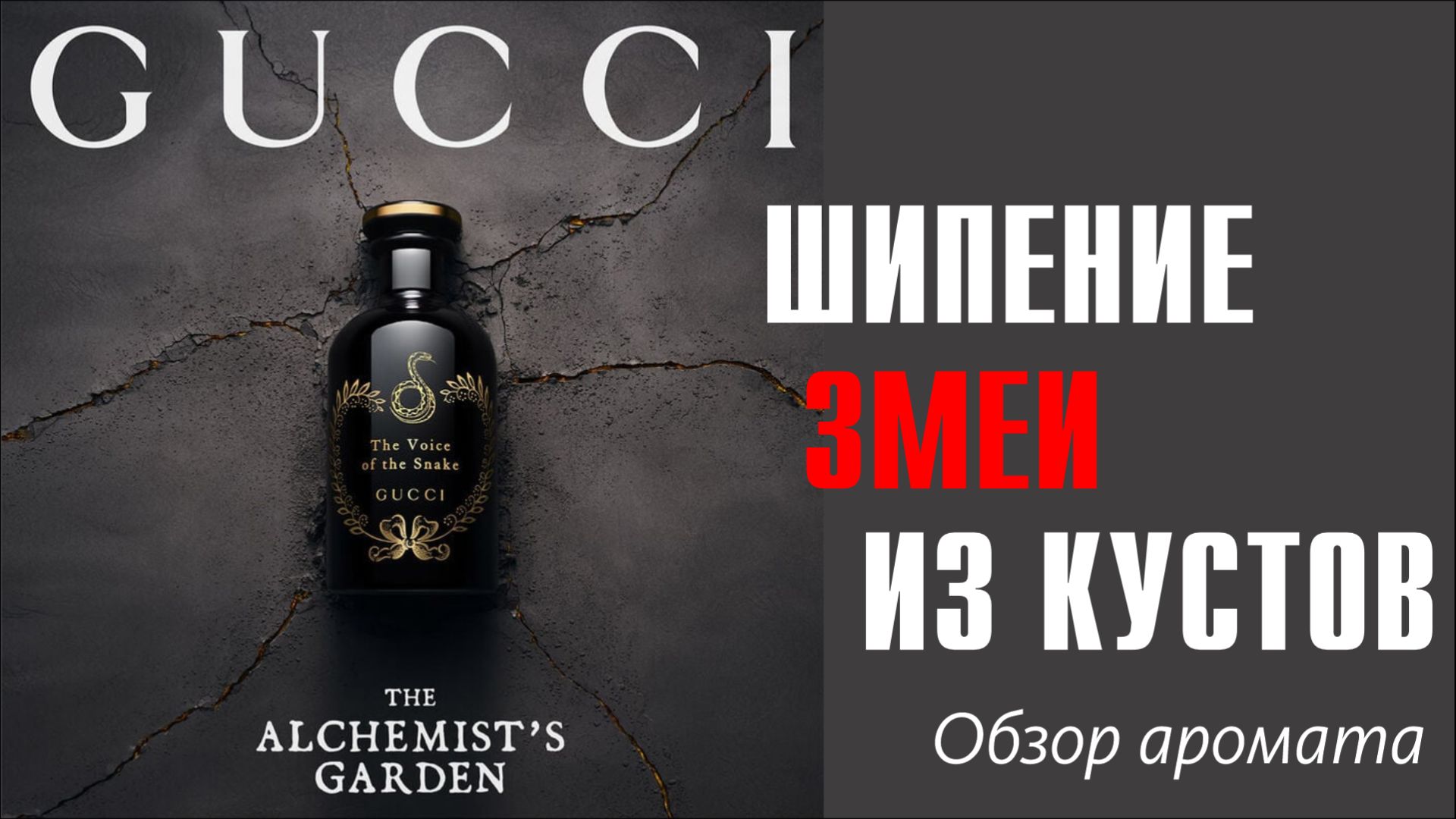 КАК ПОЁТ ЗМЕЯ?.. GUCCI THE VOICE OF THE SNAKE // ОБЗОР АРОМАТА // Fragrance Review смотреть онлайн