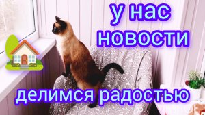 🐱Доброе🏡утро 17-11-2025,жизнь в деревне