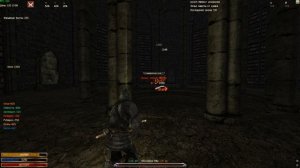 Зельд (ДХ, с навыками)