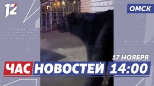 Не могла уйти из-за агрессивной собаки / Катки в городе / Загорелся автобус. Новости Омска