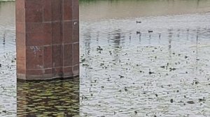 Йошкар-Ола, август, раннее утро, набережная Амстердам