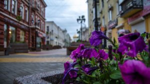 УТРЕННЯЯ ПОЧТА! ДОБРОЕ УТРО! НОВАЯ ПЕНСИОННАЯ РЕФОРМА?! ДАИРИНА ЖЖЕТ !