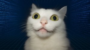 СТРИМ О ВСЁМ / ПРЕДЛАГАЙТЕ ИДЕИ