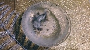 Нити Судьбы.