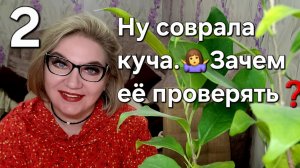 Ну соврала куча.Зачем её проверять❓️