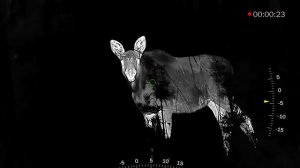 Что «видит» охотник через тепловизор ATOMOS 2×35 мм 640×512?