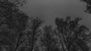 Релакс музыка. Спокойная, успокаивающая музыка для души | Ecveezer - A Night of Love (New Version)