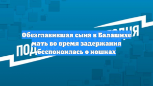 Обезглавившая сына в Балашихе мать во время задержания беспокоилась о кошках