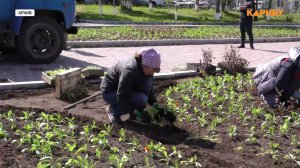 Озеленение, ремонт контейнерных площадок и замена мусорных баков: итоги года в цифрах