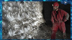 Паучий Вавилон