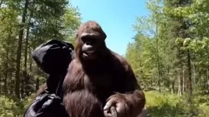 ГИБОНОВКУСНЯТИНА  ОТ КОКАВЗЯТИНЫ