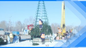 17.11.2025  Установка новогодних ёлок в Киселевске продолжается