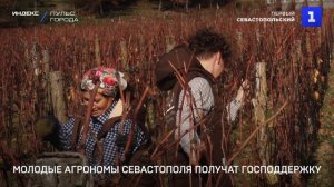 Молодые агрономы Севастополя получат господдержку
