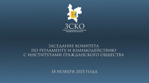 Заседание комитета по регламенту 18.11.2025