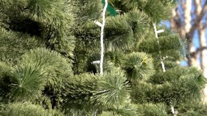 ПРАЗДНИК НАЧИНАЕТСЯ С ЁЛКИ