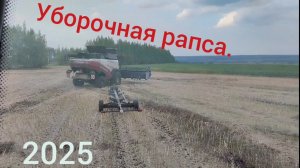 Уборочная рапса. Часть1. Торум785.