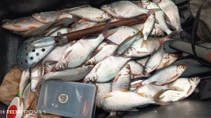 блог/Денис Савенков/обзор/я на рыбалке/