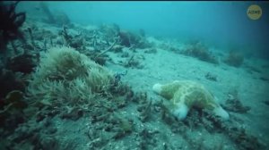 Эта спящая ошибка в Канаде проснулась и не останавливается