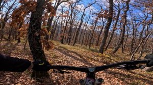 трейл Кантрийный Лес [К-лес] - Фрик - Овражка (Алушта) / 16.11.25