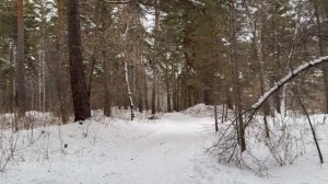 Зимний парк - часть 2