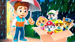 РАЙДЕР ПРИЮТИЛ ВСЕХ ДЕТЕЙ ЩЕНЯЧИЙ ПАТРУЛЬ в МАЙНКРАФТ