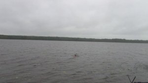 vatravel.ru На Волге в с.Густомесово (Костромская обл)