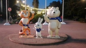 Прогулка по Сочи продолжается