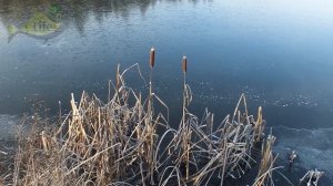 Какой нужен мороз чтобы пойти на зимнюю рыбалку и не провалиться?!  На реке, пруду и водохранилище.