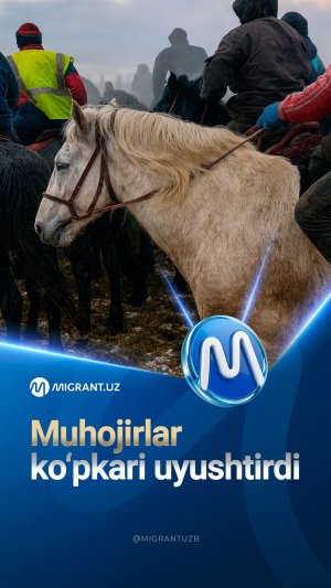 Chavandozlik o'yinlari yana rossiyaliklarning noroziligiga sabab bo'ldi