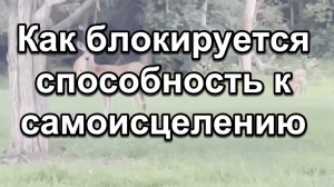 Как блокируется способность к самоисцелению