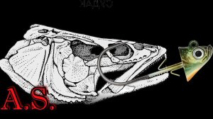 сход рыбы. как уменьшить. советы по рыбалке.