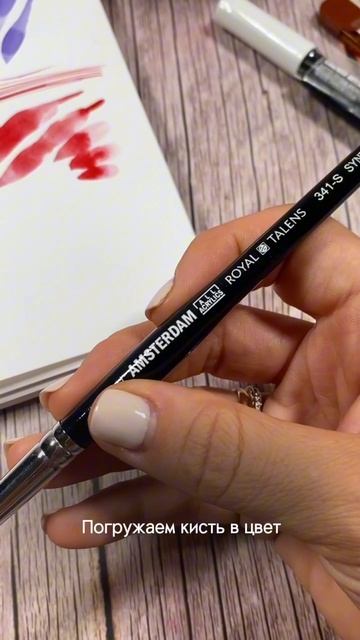 Обзор на кисточку Royal Talens “Amsterdam”