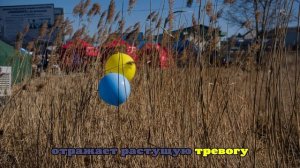 Politico: фон дер Ляйен предупредила ЕС о грозящем Киеву экономическом тупике