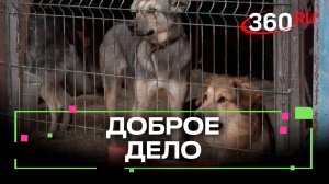 Спасатели из Ногинска подарили корм приюту для животных
