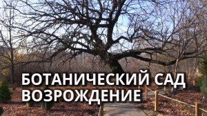 В Саратове открыли обновлённый Ботанический сад СГУ
