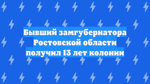 Бывший замгубернатора Ростовской области получил 13 лет колонии