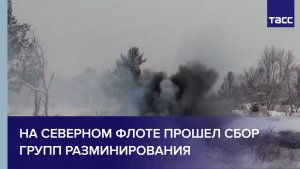 На Северном флоте прошел сбор групп разминирования