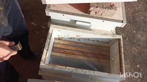 Последние работы , где поджать , где мёд добавить.