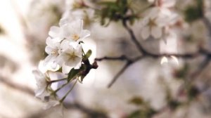 Татьяна Орёл_Благодарю