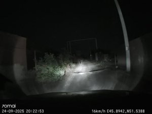 Зайка в свете фар