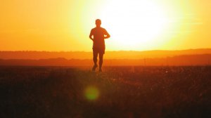 Не ищи кайф — ищи смысл